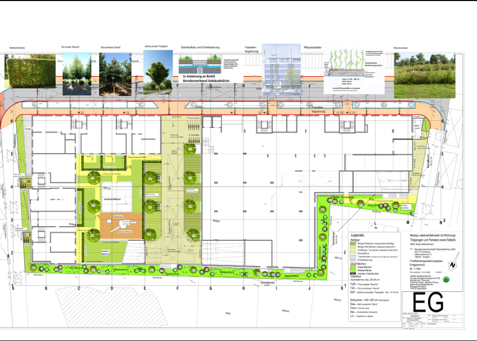 Wehrdstraße Singen – Plan 1